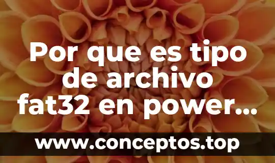 Por que es tipo de archivo fat32 en power point