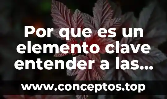 Qué es el dióxido de carbono elemento o compuesto 5 Por que es un elemento clave entender a las organizaciones