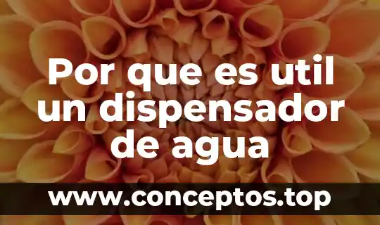 Por que es util un dispensador de agua