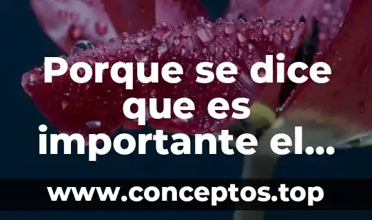 Porque se dice que es importante el agua