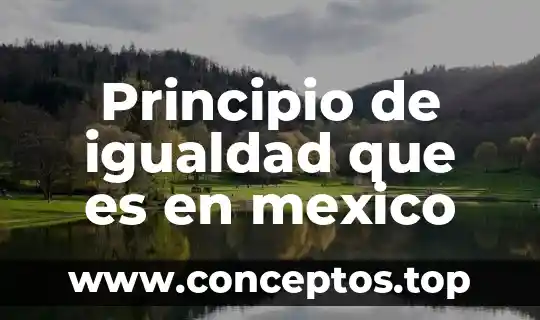Igualdad de género que es según la unicef 7 Principio de igualdad que es en mexico