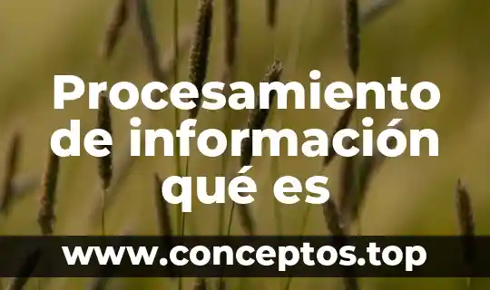 Análisis de la información que es 3 Procesamiento de información qué es