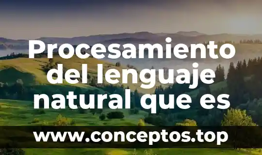 Procesamiento del lenguaje natural que es