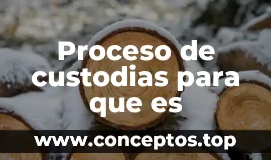 Proceso de custodias para que es