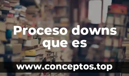 Que es el proceso de direccion 4 Proceso downs que es