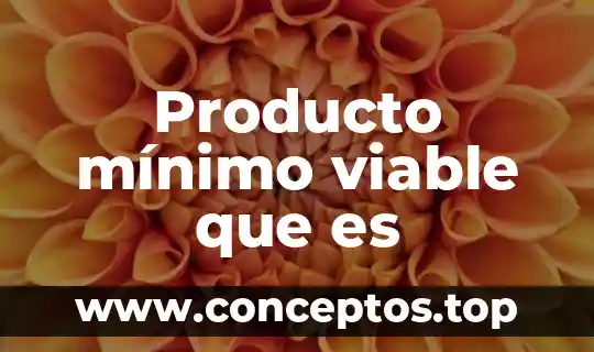 Producto mínimo viable que es