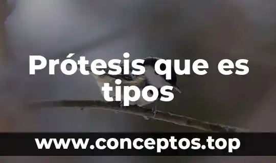 Prótesis que es tipos