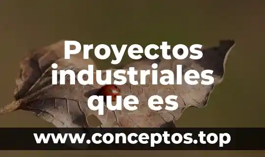 Proyectos industriales que es