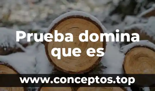 Prueba domina que es
