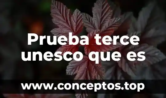 Que es la prueba de screening en el embarazo 3 Prueba terce unesco que es