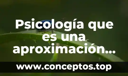 Que es aproximacion grafica 3 Psicología que es una aproximación diagnóstica
