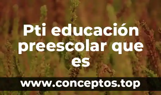 Pti educación preescolar que es