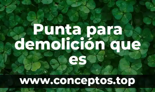 Punta para demolición que es
