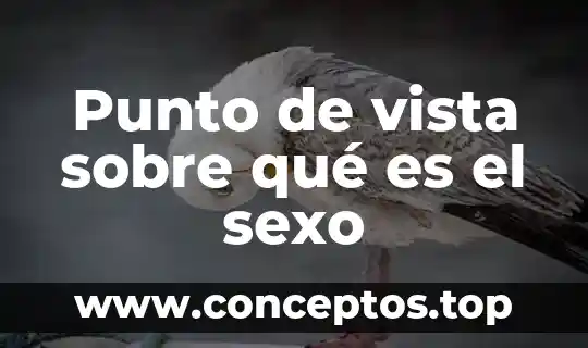 Punto de vista sobre qué es el sexo