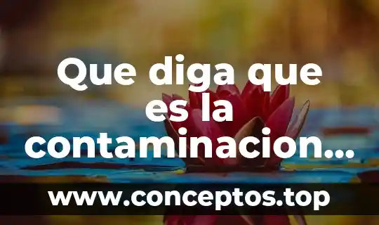 Que diga que es la contaminacion informatica
