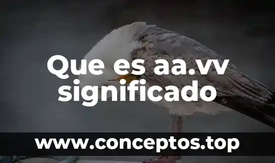 Que es hendido significado 4 Que es aa.vv significado