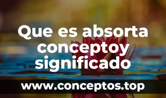 Que es hendido significado 7 Que es absorta conceptoy significado