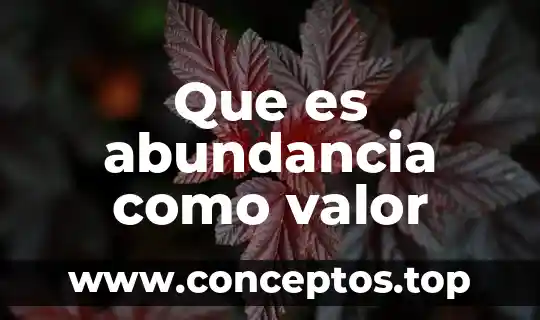 Que es abundancia como valor