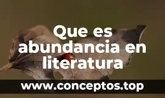 Que es abundancia en literatura
