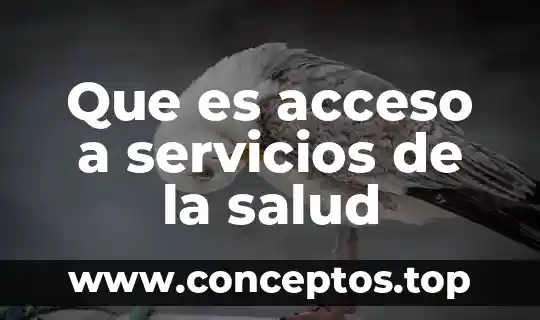 Que es acceso a servicios de la salud