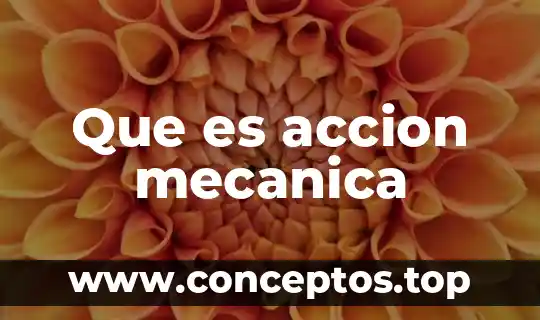 Que es accion mecanica