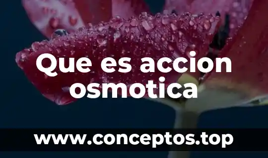 Que es la accion de libertad innovativa 3 Que es accion osmotica