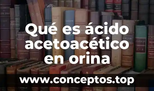 Qué es una prueba de embarazo via orina 8 Qué es ácido acetoacético en orina