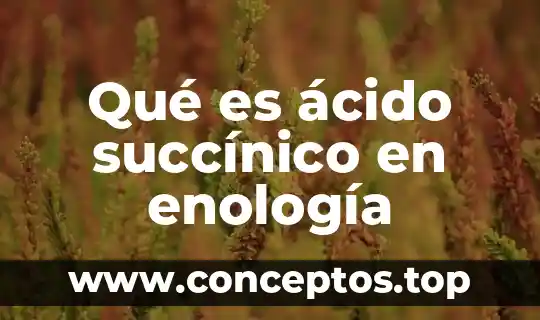 Qué es el ácido diaulunérico 4 Qué es ácido succínico en enología