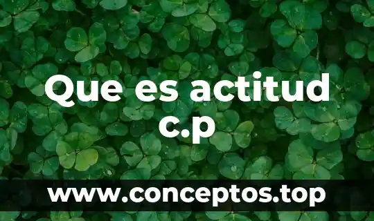 Qué es actitud concepto y ejemplo 6 Que es actitud c.p