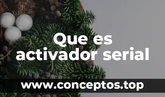 Que es activador serial