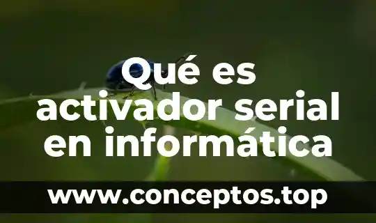 Qué es activador serial en informática