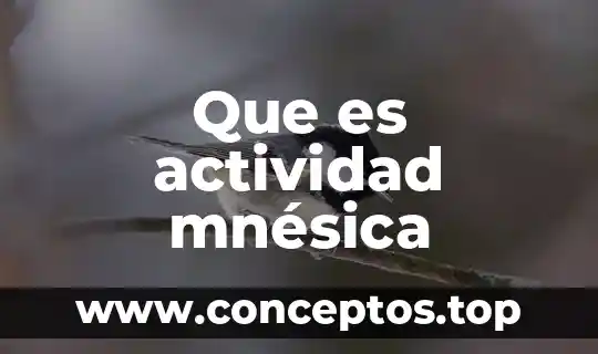 Que es actividad mnésica