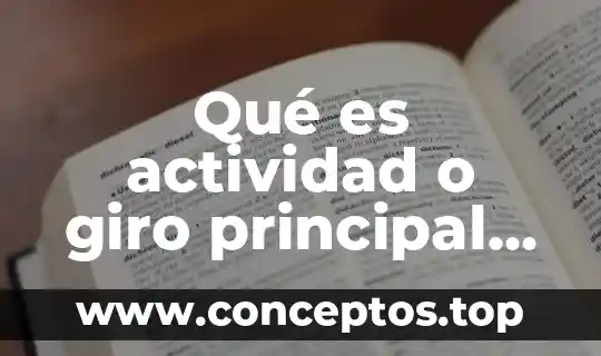 Qué es actividad o giro principal de una empresa