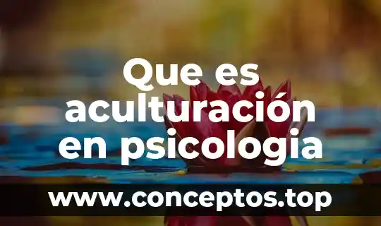Que es aculturación en psicologia