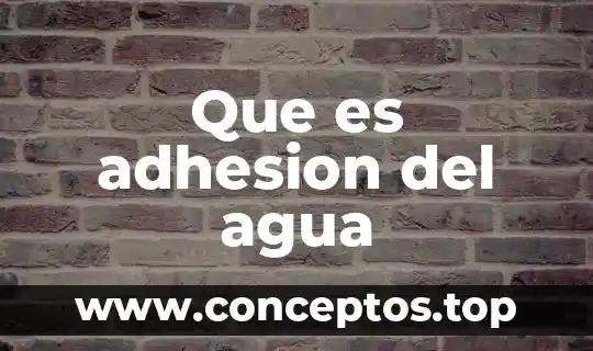 Que es adhesion del agua