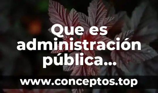Que es administración pública relacional deliberativa