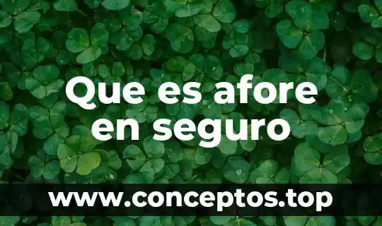 ¿Qué es un Afore, sus características, conveniencias y diferencias? 4 Que es afore en seguro