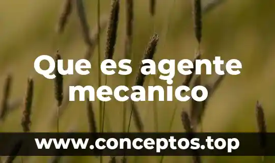 Que es agente mecanico