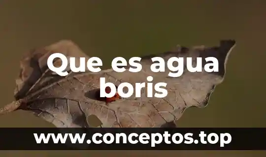 Que es soñar con un remolino de agua 4 Que es agua boris
