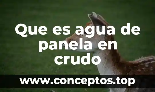 Que es agua de panela en crudo