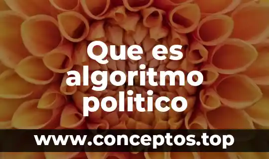 Que es algoritmo politico