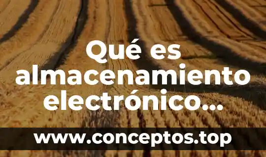 Qué es almacenamiento electrónico con gráficos