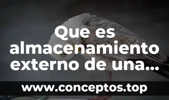 Que es almacenamiento externo de una computadora