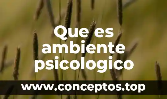 Que es ambiente psicologico