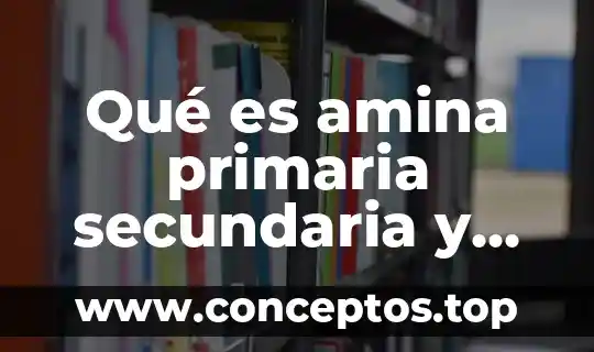 Qué es amina primaria secundaria y terciaria