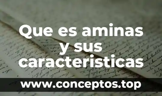 Que es aminas y sus caracteristicas