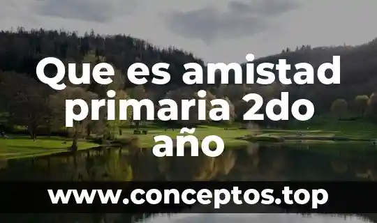 Que es amistad primaria 2do año