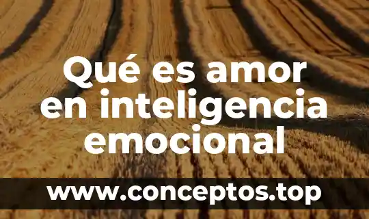 Qué es amor en inteligencia emocional