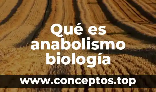 Qué es anabolismo biología