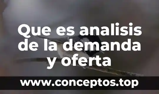 Conclusión de la ley de oferta y qué es oferta 7 Que es analisis de la demanda y oferta